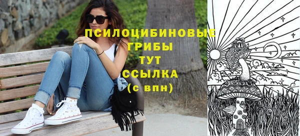 МДПВ Новозыбков