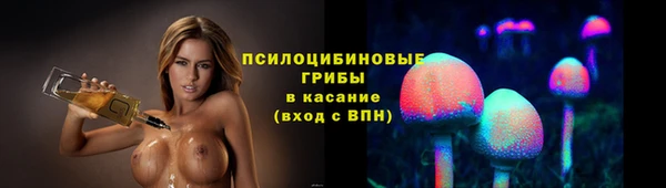 прущая мука Новодвинск