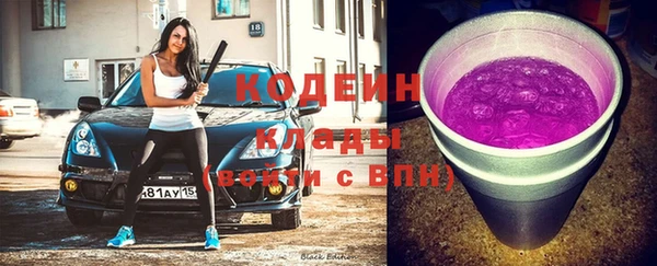 МДПВ Новозыбков