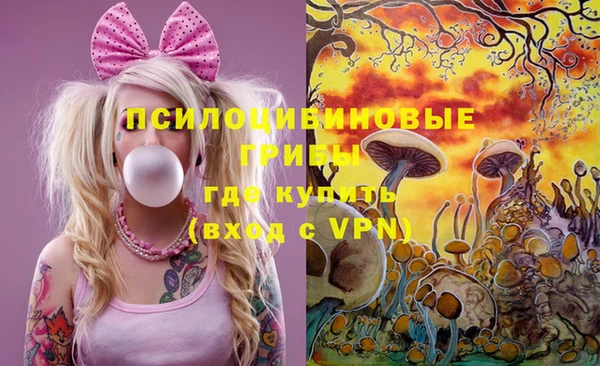 МДПВ Новозыбков