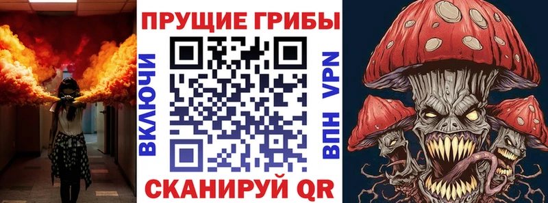 где купить   Железногорск  Псилоцибиновые грибы Psilocybe 